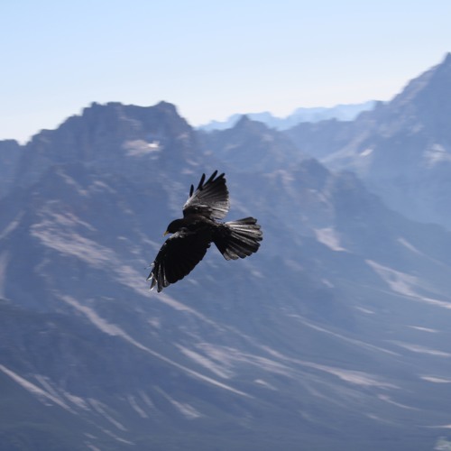 Reclaiming Your Heart Part 1