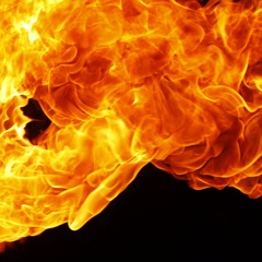 Kill It With Fire Series