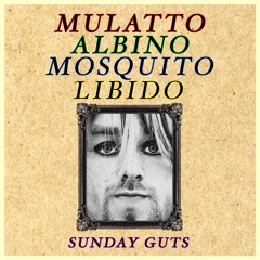 Mulatto/Albino/Mosquito/Libido