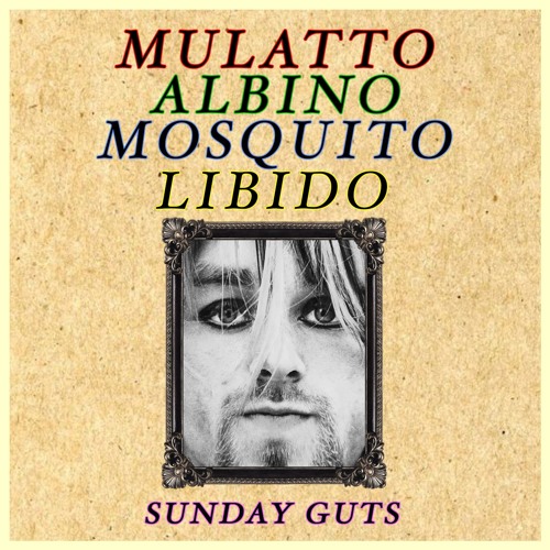 Mulatto/Albino/Mosquito/Libido