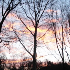 FavTracks 06/16 Ambient & Classic