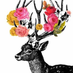 psych trance and minimal.