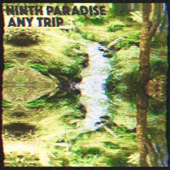Any Trip
