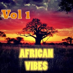 African Vibes Vol 1