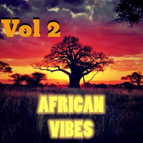 African Vibes Vol 2