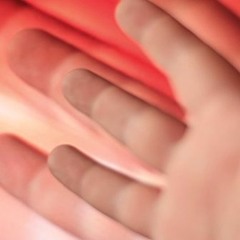 Keygen Kaotic - Hard Dream