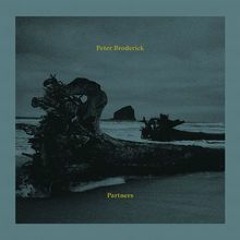Peter Broderick - In A Landscape (2016)