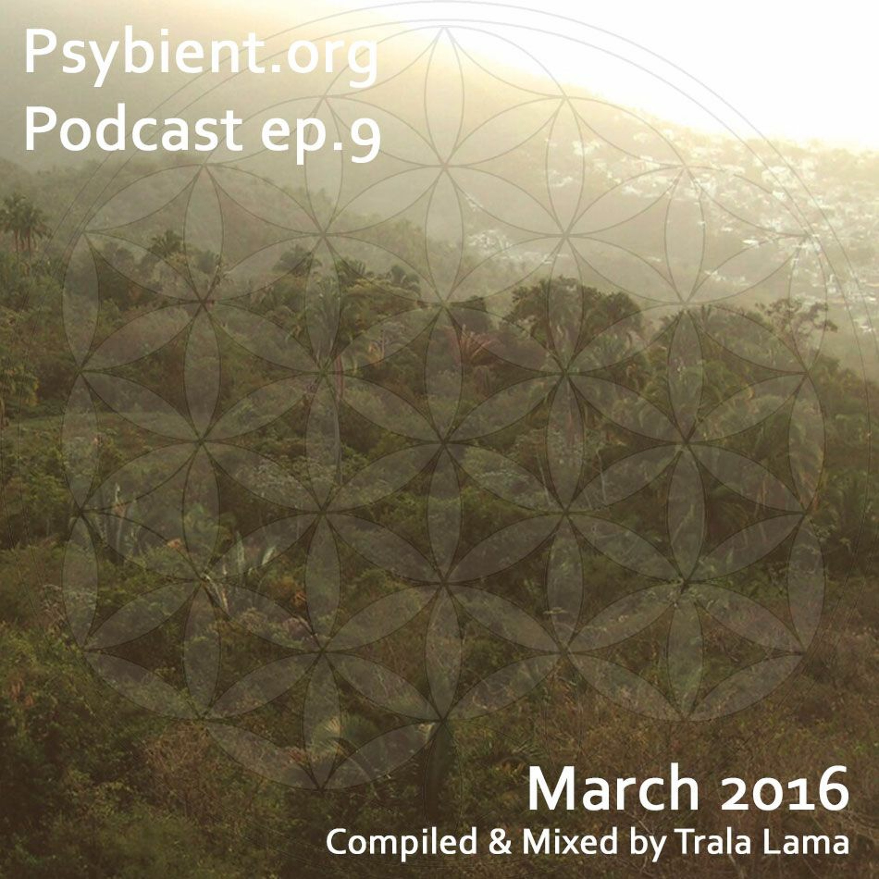 psybient.org podcast ( psybient psychill psydub ambient downtempo psychedelic psybass psygressive)