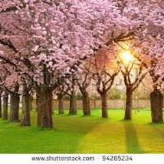 Night 25 - Abu Hakeem - Constantly Repent To Allah