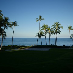 STUDY_2016 / munnrai