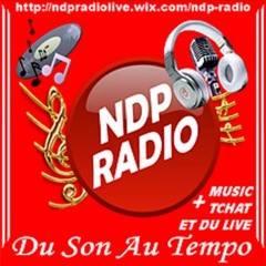 NDP Radio Demo Jingles WEB RADIO