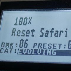 100% Reset Safari (Unheard, Unreleased Tracks Mix)