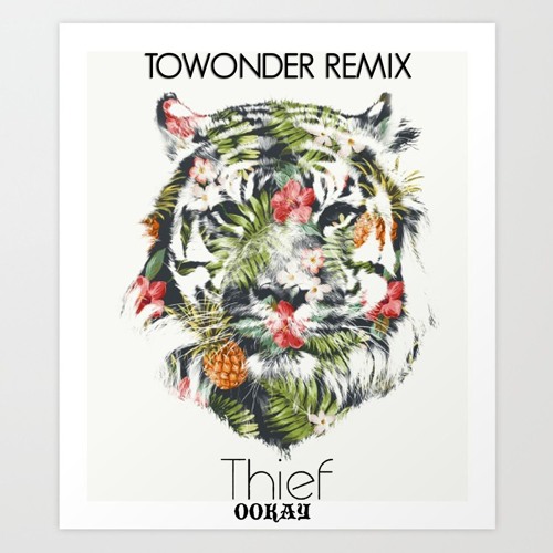 Ookay - Theif (ToWonder Remix)