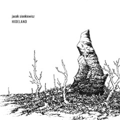 Jacek Sienkiewicz "Radionist" (R-CD040)