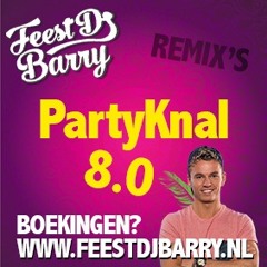 PartyKnal 8