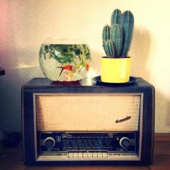 Rubber and Soul (Ane Brun Cover)