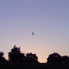 Linkin Park - Lost in the Echo (Domus Remix)