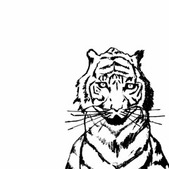 Episode 46: Tiger