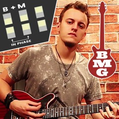 Bridge & Middle Pickups - In Phase - One Vision