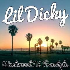 Lil Dicky -- WestwoodTV Freestyle (HD)