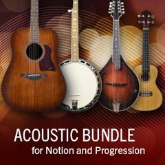 Acoustic Fingerstyle Guitar