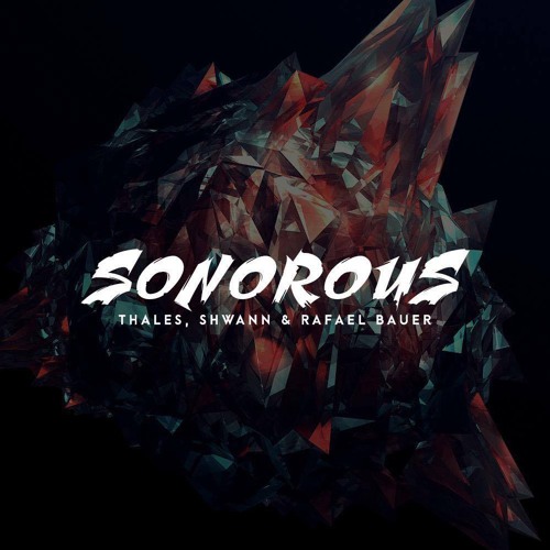 THALES, Shwann & Rafael Bauer - Sonorous (Original Mix)