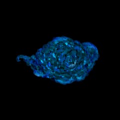 Vestiva i colli - Francesco Rognoni