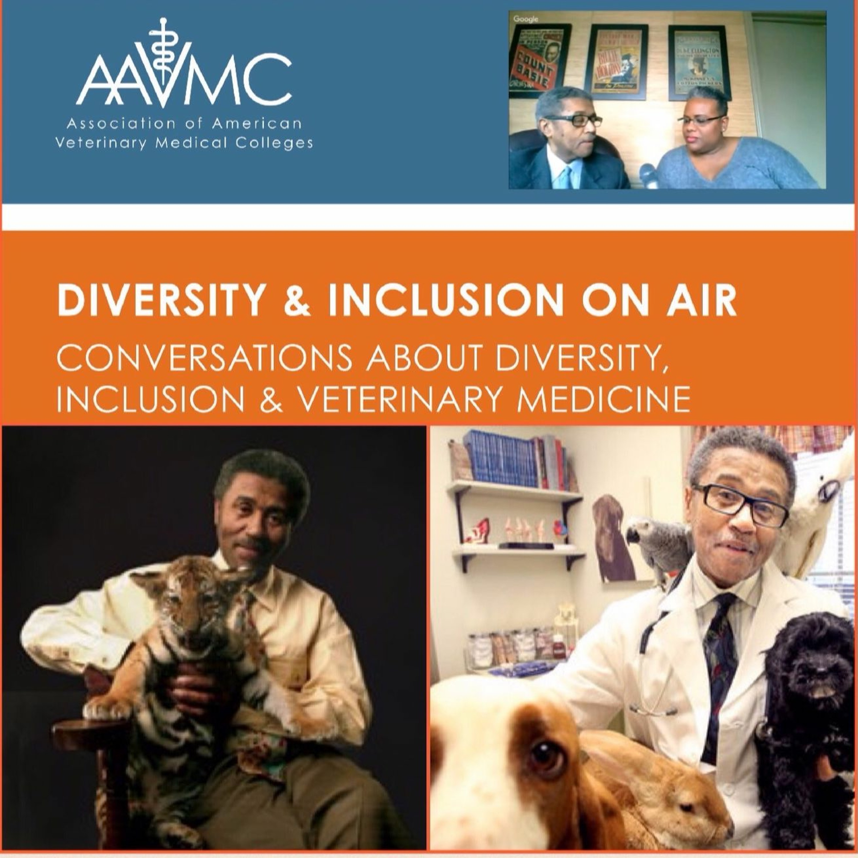 AAVMC\'s On Air: Conversations about Issues in Veterinary Medicine