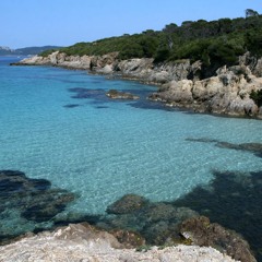 Moustache Machine - Porquerolles