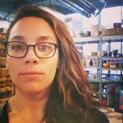 Elephant Gun - Beirut