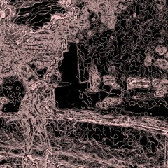 H.anA [ Liquit flowers ]