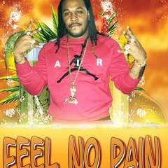 Feel No Pain (Alright) Ft. Qamil