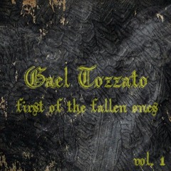 Sold My Soul - Black Label Society(cover By Gael Tozzato)