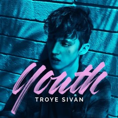 Youth - Troye Sivan (Acoustic Version)