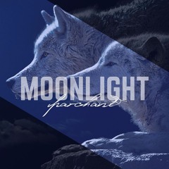 Rap Beat 2016   - MOONLIGHT -  ( Parchant Beatz prod.)