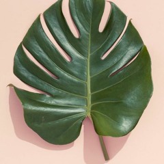 PODCAST DE FRANCE été 2016 1H45 d'amour...