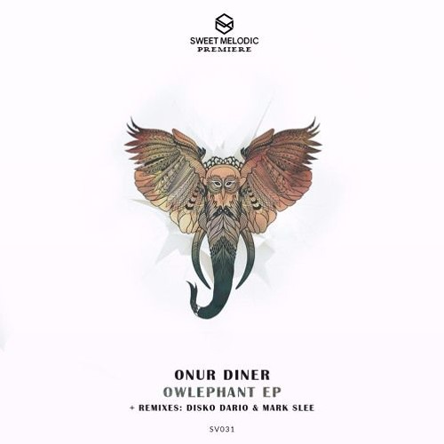 PREMIERE: Onur Diner - Kalopsia / Submarine Vibes