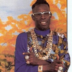 Chris Brown Ft. Wiz Kid, Hoody Baby & Section Boyz - Shabba