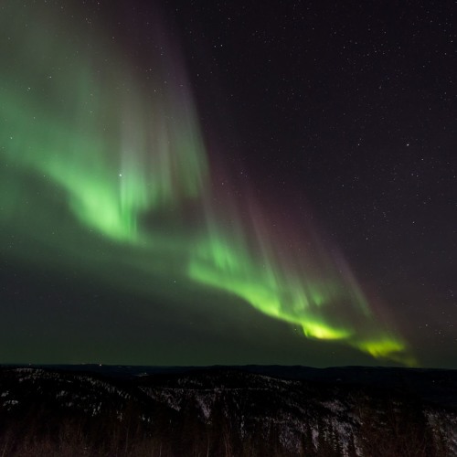 Dancing Under Polar Lights