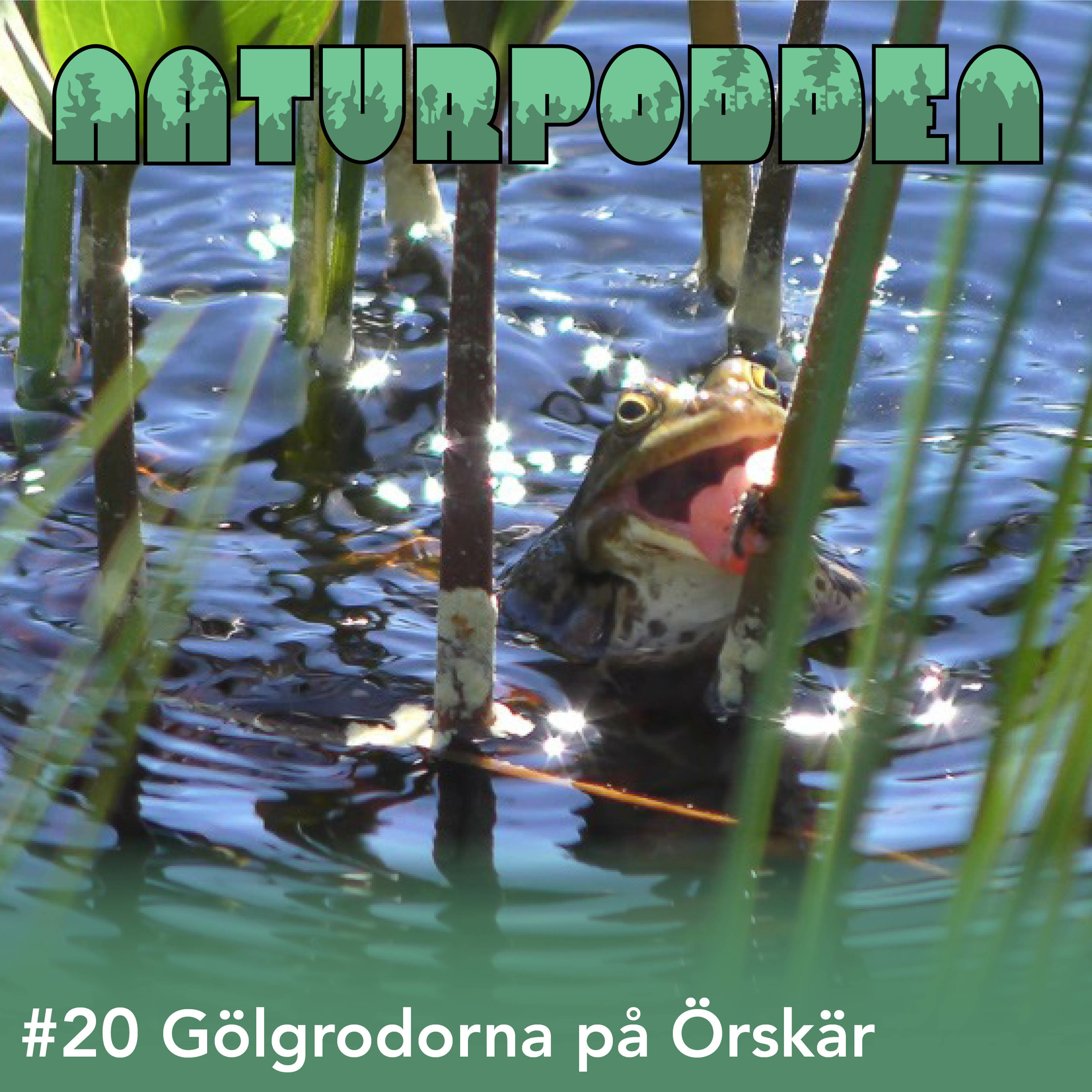 Naturpodden - Producerad av Biotopia
