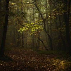 Tchaikovsky -  Arabian Dance - from Nutcracker Suite