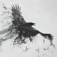 The Shadow Of The Crow By La Source Acide