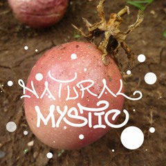 Natural Mystic - skydub & jackman