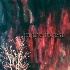in the forest