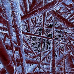 Toaster feat. PHP - Jailbreaker