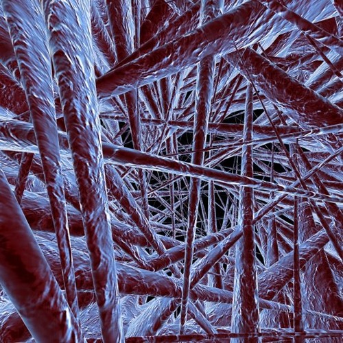 Toaster feat. PHP - Jailbreaker