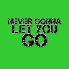 Dave Castellano & DJ Fat Steve - Never Gonna Let You Go (Ganar Remix) [Preview]