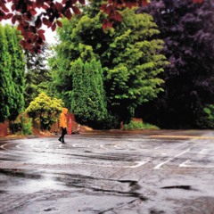 Pareidolia (feat. Kenny Vasoli)