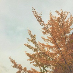 i've been dreaming about you often.