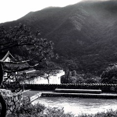 The Stream Of Consciousness